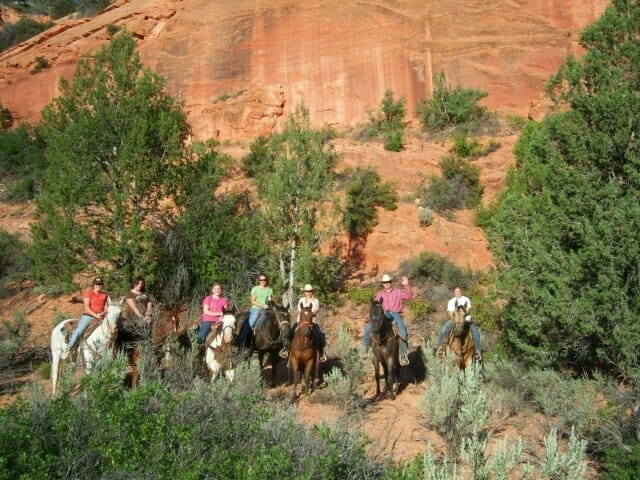 AH Misc pics 2019 RE USE 26