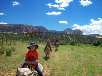 AH Misc pics 2019 RE USE 27