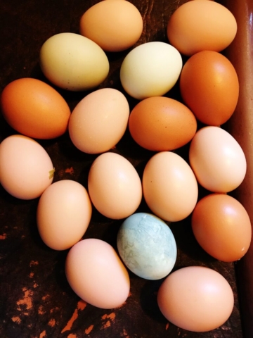 23 IMG_3886 23 IMG 3886 2 768x1024