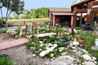 AH Back Patio Water Flow 2024 1024x683