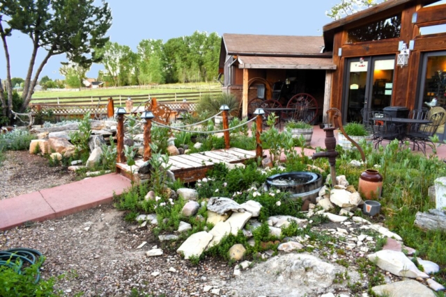 AH Back Patio Water Flow 2024 1024x683