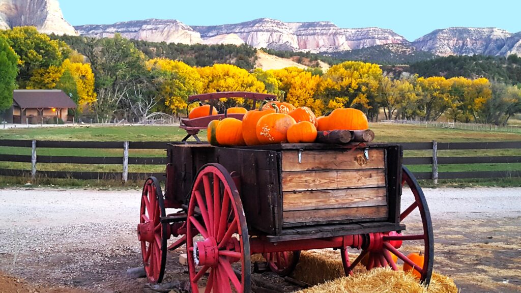 AH CC Pumpkin Wagon Edited 2024
