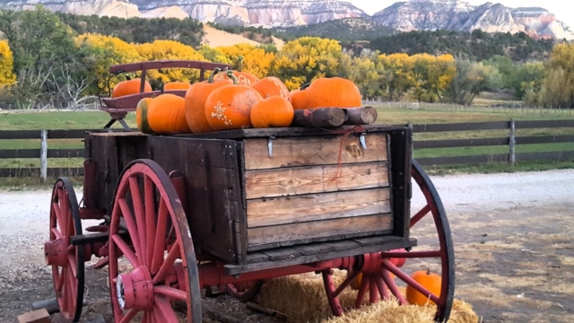 AH Pumpkin Wagon 2024 1024x576