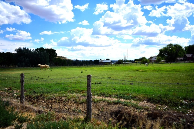 AH the neighborhood 2024 1024x683