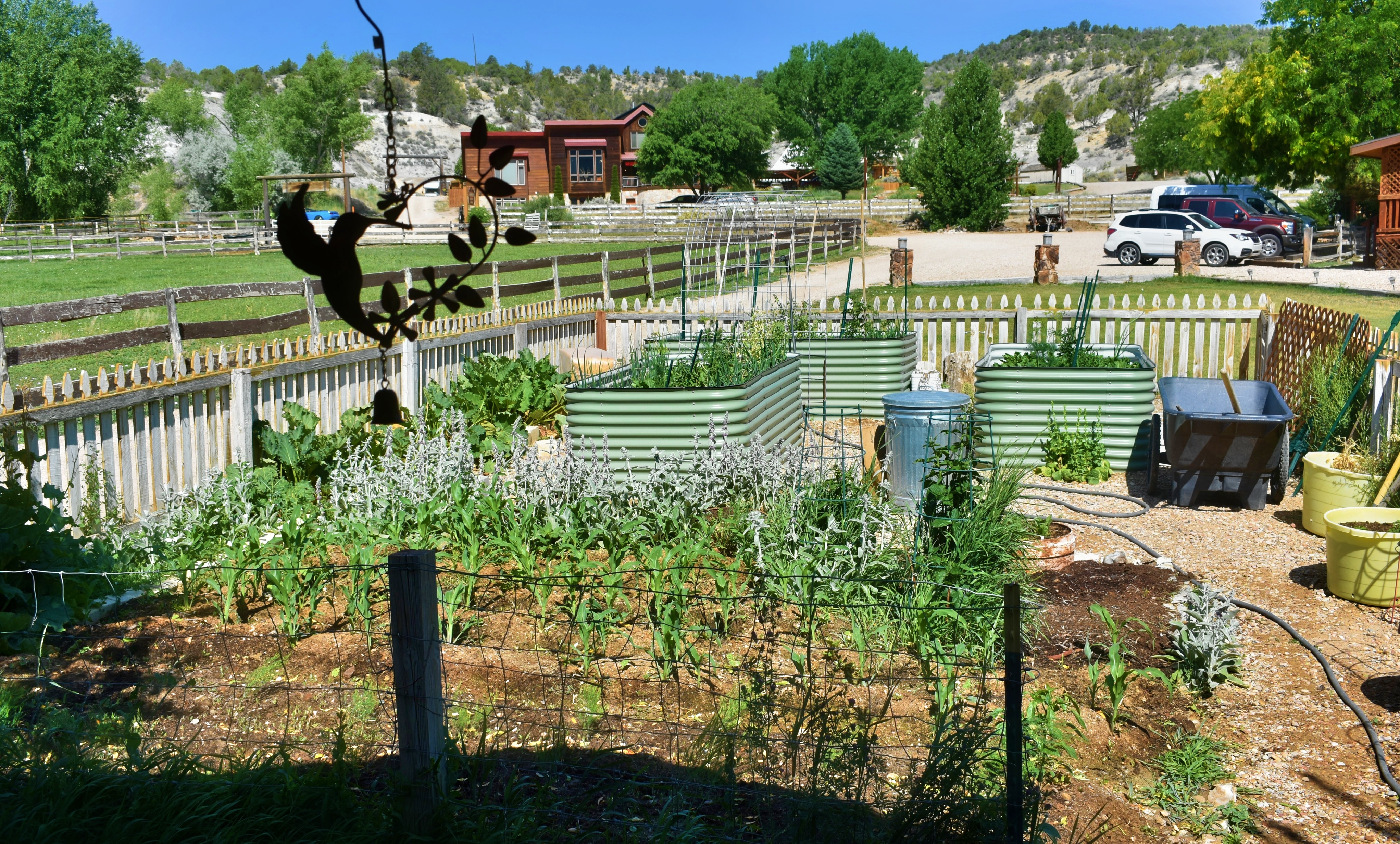 A garden with raised beds and a fence, with a wheelbarrow and wind chime in the foreground.