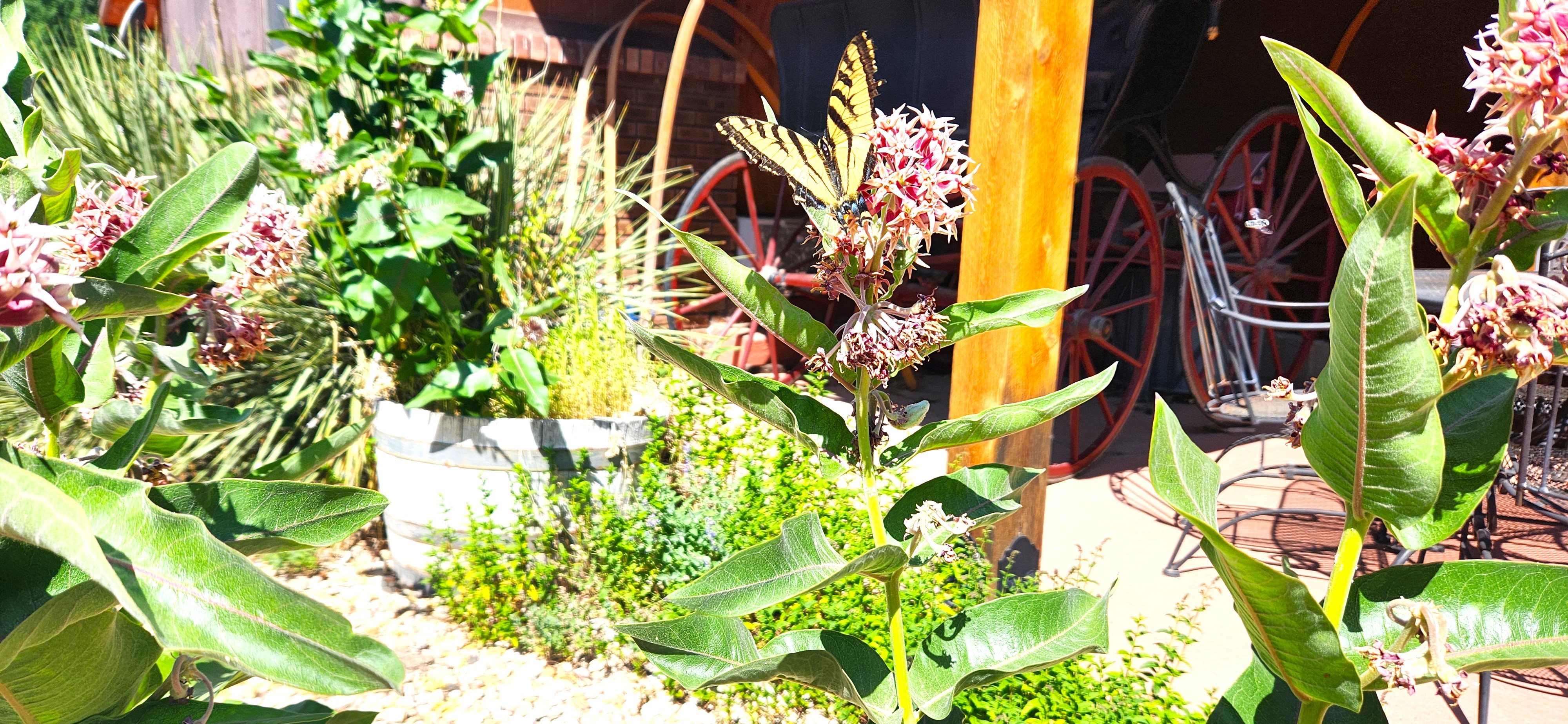 A garden scene with various plants and flowers, a wooden post, and wagon wheels in the background.